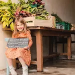 Jardins De La Thillaye - Parcel Tiny House - Tiny House 1 Pres Des Chevaux A 15 Min De Deauville Mae-8101 *