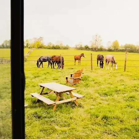 Chata Jardins De La Thillaye - Parcel Tiny House - Tiny House 1 Pres Des Chevaux A 15 Min De Deauville Mae-8101 Reux