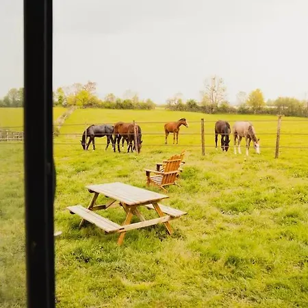 Jardins De La Thillaye - Parcel Tiny House - Tiny House 1 Pres Des Chevaux A 15 Min De Deauville Mae-8101 *